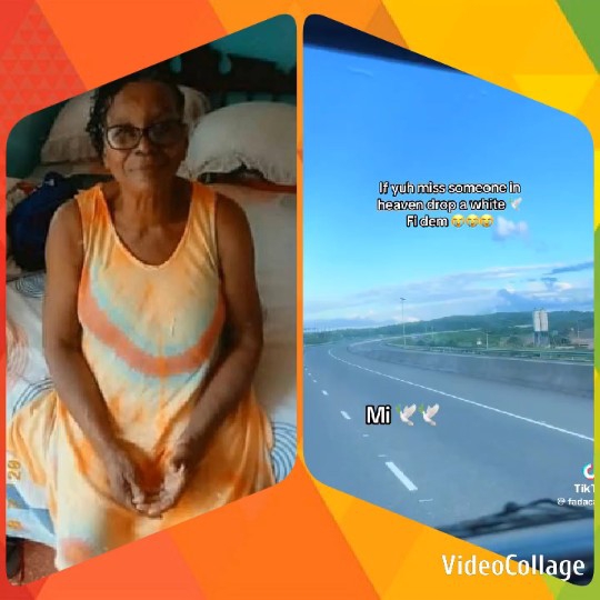 Smiling Woman and Highway View