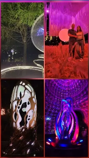 Illuminated Tree and Light Installations
