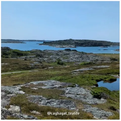 Rocky Landscape by the Water