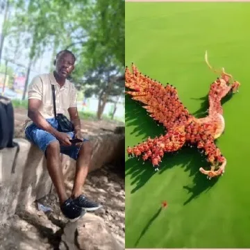 Man with Phone and Fruit Dragon