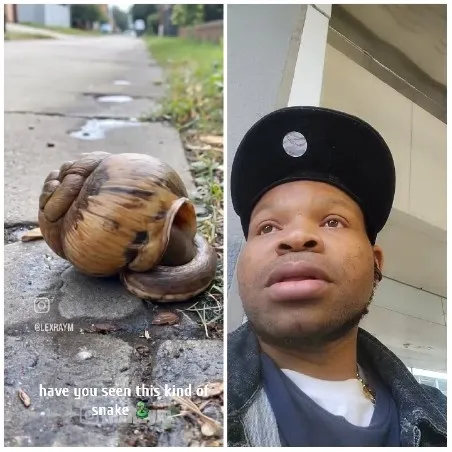 Snail on Sidewalk and Selfie