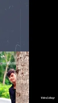 Person Peeking from Tree with Background