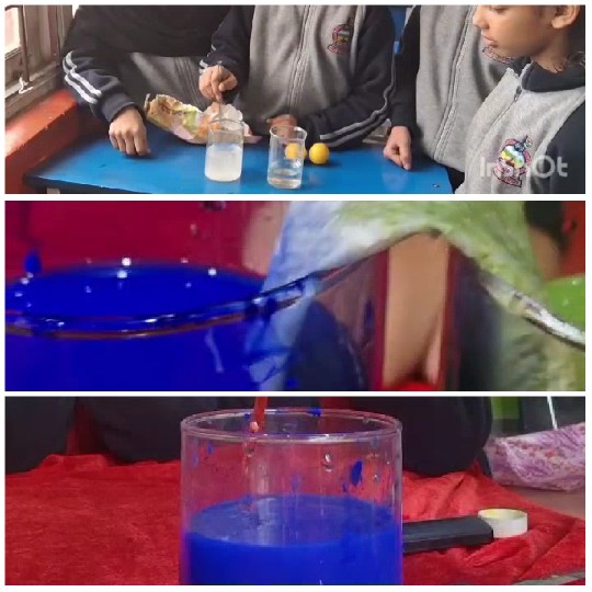Children Conducting Science Experiment