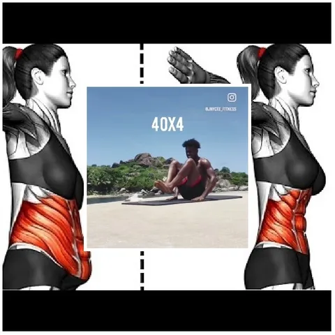 Outdoor Yoga and Muscular System Illustrations