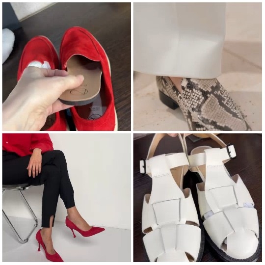 Four Types of Footwear Displayed