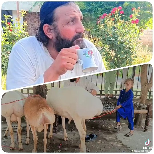 Man with Floral Cup and Child with Sheep