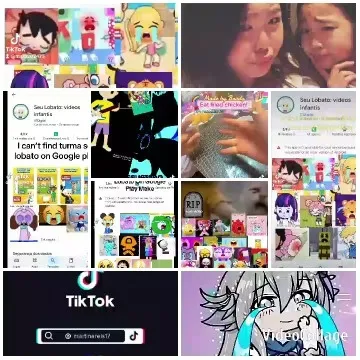 TikTok Screenshots and Animated Characters
