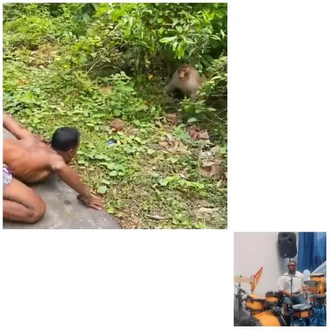 Man and Monkey Interaction