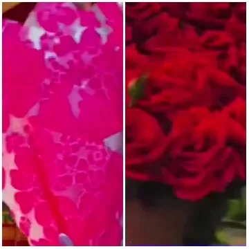 Floral Patterns and Red Roses