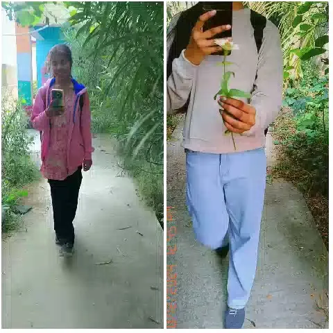 Walking Paths with Phones and Flowers