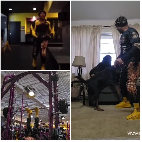 Gym Activities and Home with Dog