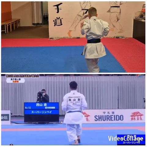 Dojo Training and Arena Competition