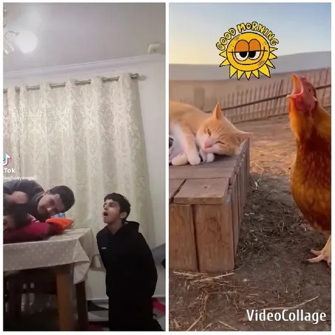 Indoor Family Scene and Farm Life