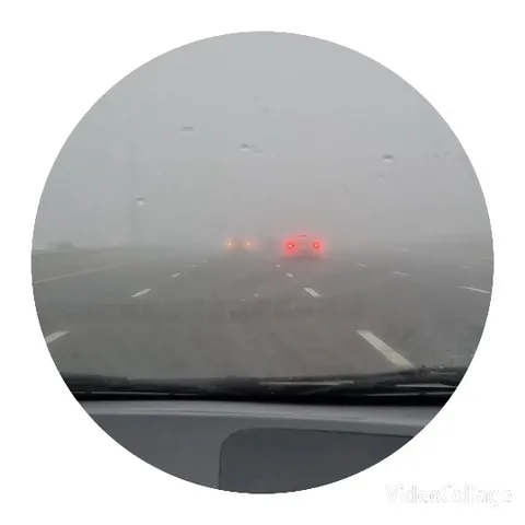 Driving Through a Foggy Road