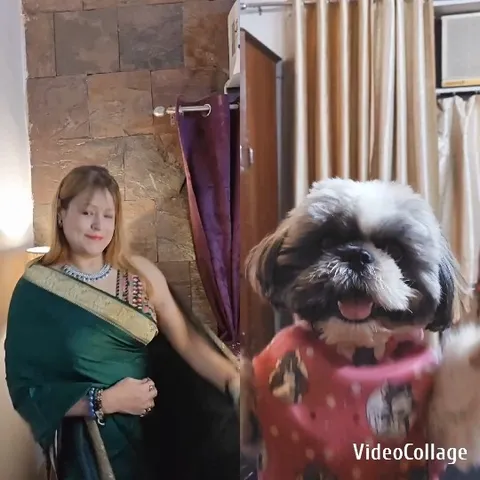 Woman in Green Sari and Dog