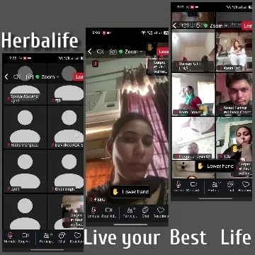 Screenshots from Virtual Meeting