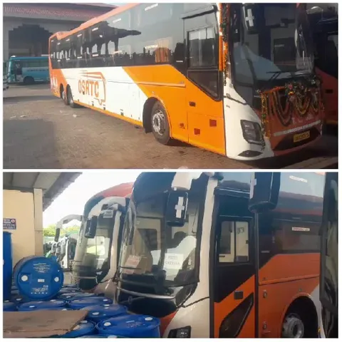 Buses Parked in the Depot
