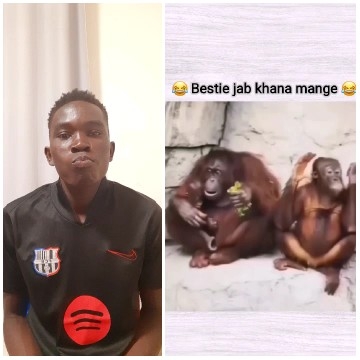 Person and Orangutans in Humorous Context