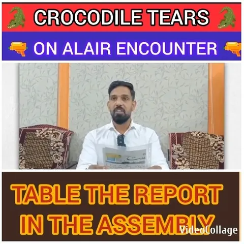 Man Discussing Crocodile Encounter