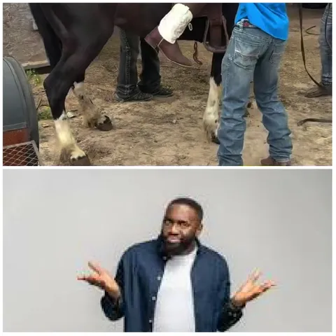 Person With Horse and Shrugging Man