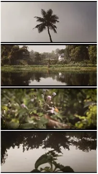 Nature Scenes in Four Parts