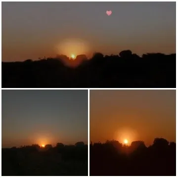 Serene Sunset Views with Silhouettes