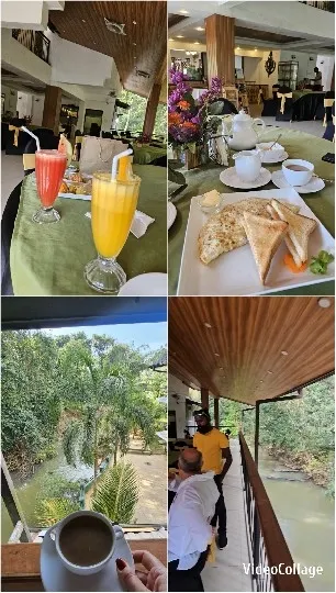 Colorful Drinks and Scenic Views