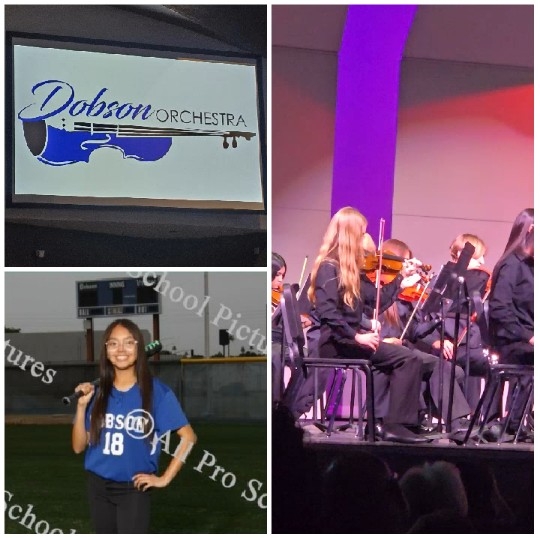 Orchestra Performance and Sports Scene