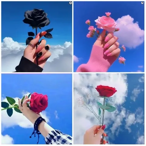 Hand Holding Roses Against Sky