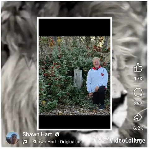 Person Kneeling by Greenery Outdoors