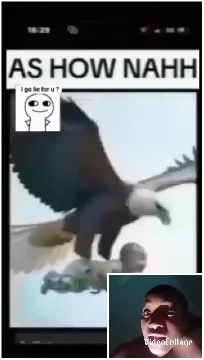 Eagle Carrying a Child Illustration