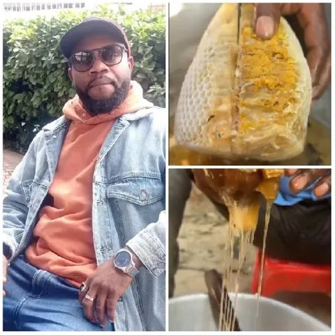 Outdoor Relaxation and Honey Extraction