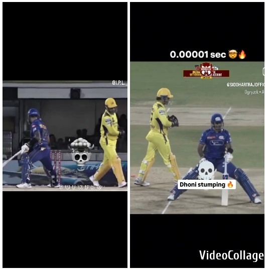 Cricket Match Action Moment