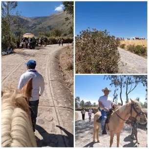People Horseback Riding in Rural Area