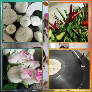 Flowers, Chili Peppers, and Vinyl Player