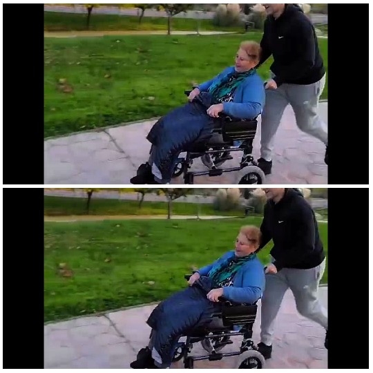 Wheelchair Journey in Nature