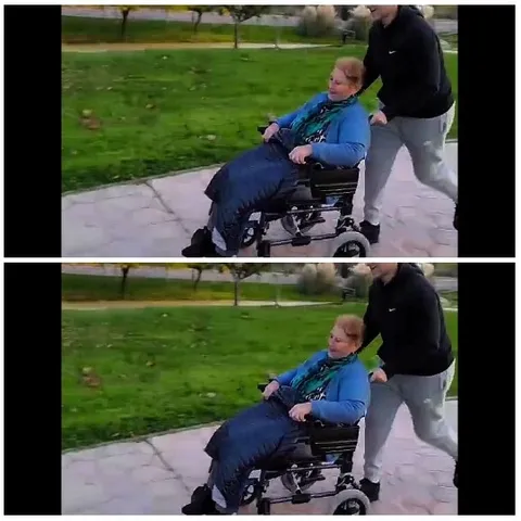 Wheelchair Journey in Nature
