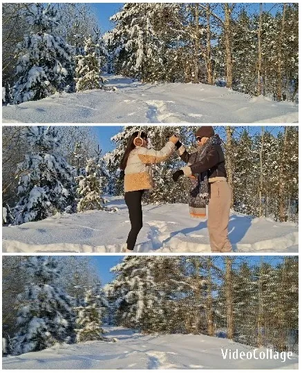 Snowy Landscape with Playful Friends