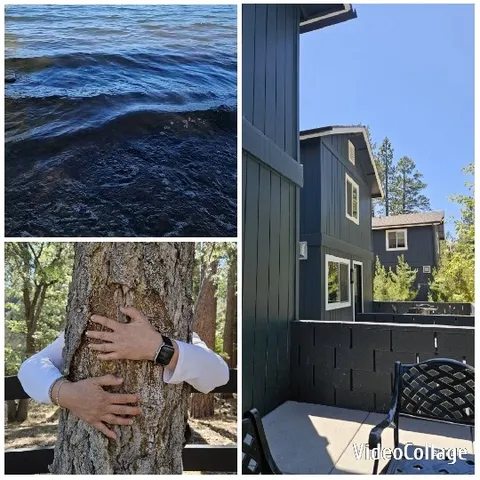 Water, Tree Hug, and House