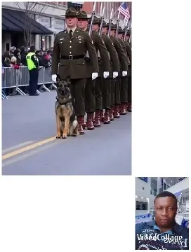 Soldiers in Formation with Military Dog
