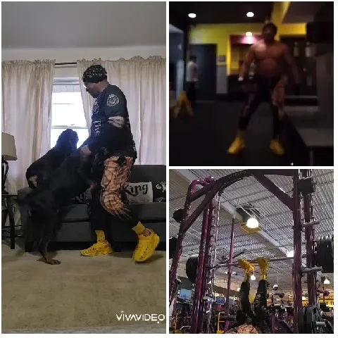 Dog Interaction and Colorful Gym Wear