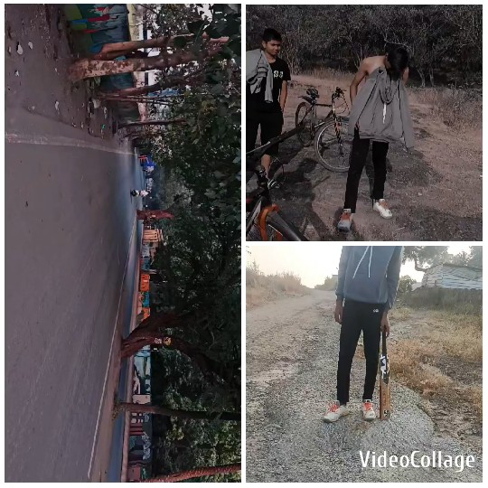 Bicycles and Cricket Bat in Nature