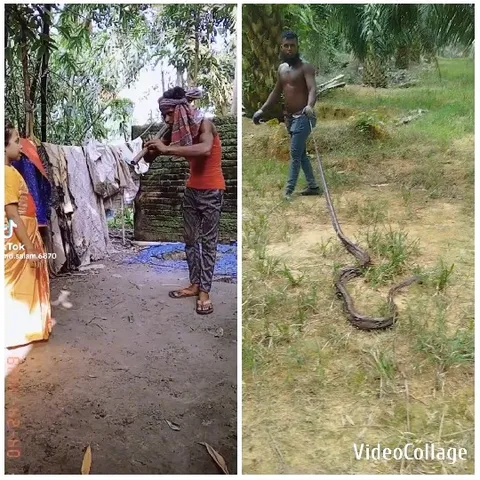 Pointing Object and Handling Snake