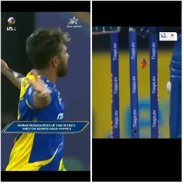 Cricket Celebration and Wicket