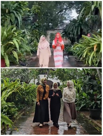 Walking in a Lush Garden