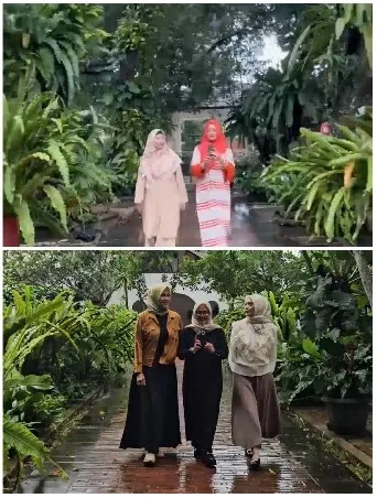 Walking in a Lush Garden