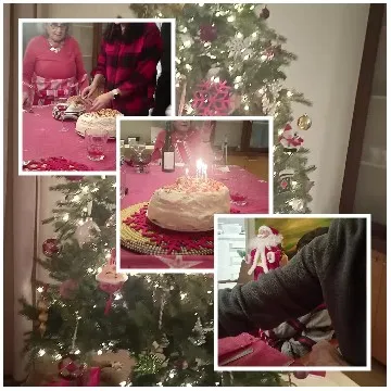 Christmas Celebration with Cake and Tree