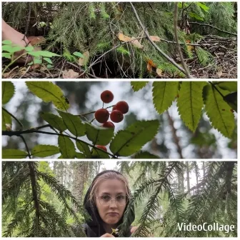 Forest Foliage and Person in Jacket