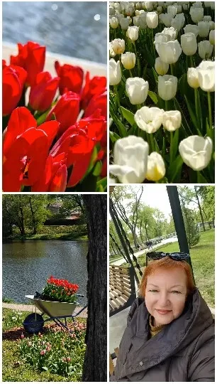Tulips and Smiling Person Outdoors