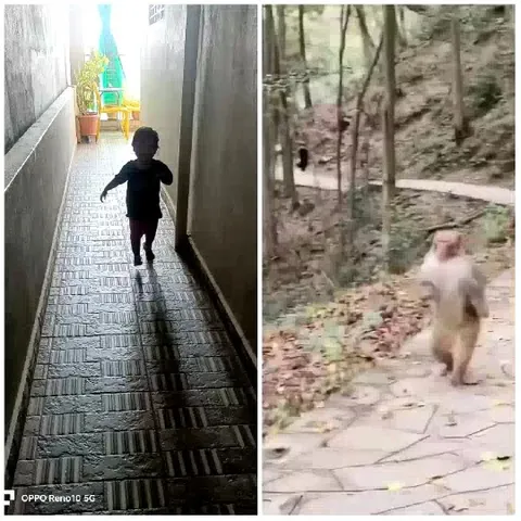 Child Running and Monkey Walking